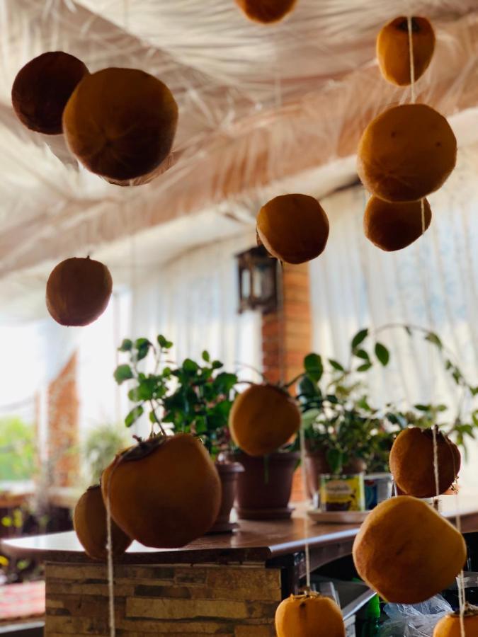 Family Mini-Hotel Martirosyan'S And Tours エレバン エクステリア 写真